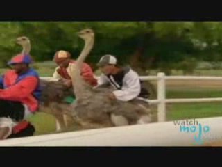 Top Tourist Spots of the Western Cape, South Africa