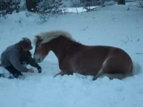 JARNY - Coucher sur demande a pied