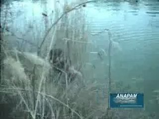 Риболов На Щука