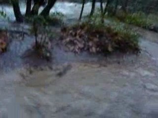 Torrent du Fauge à Gémenos (13) le 15 décembre 2008