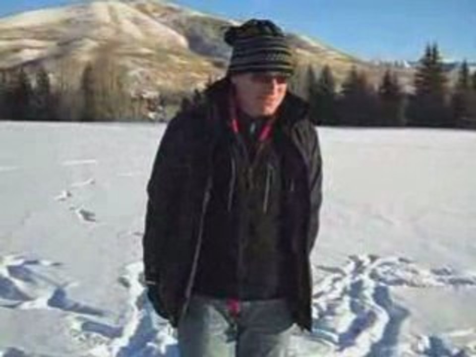 Daily Blog Post-Poodles Playing in Snow-Facebook rocks