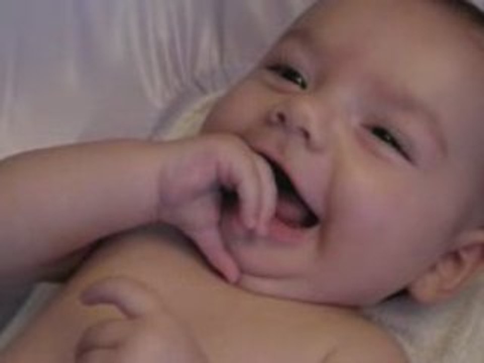 Gazouillis (08/08/23)