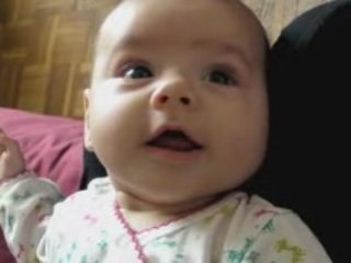 Gazouillis 2 (08/08/24)