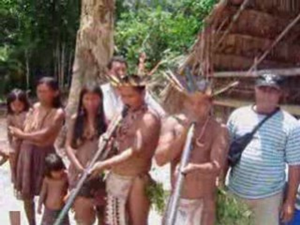 The Sound of the Amazon Jungle