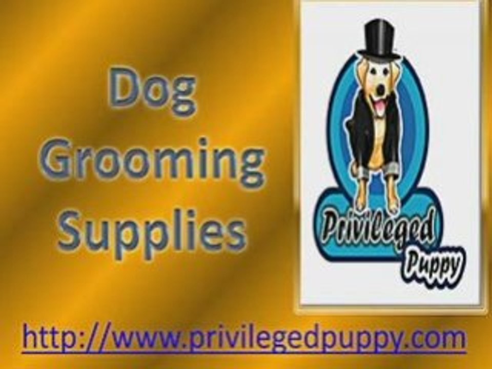 dog grooming supplies
