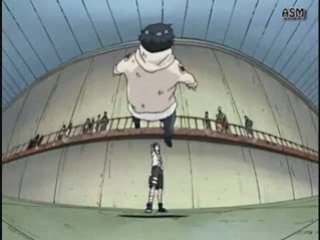 Hinata hyuuga vs neji hyuuga