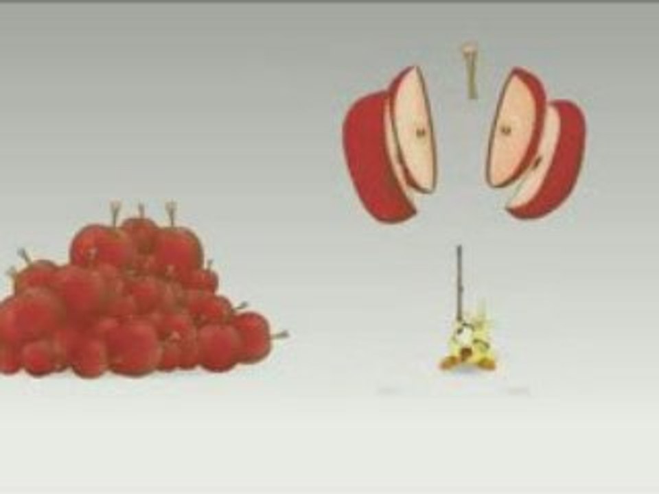 Apple kungFu - Dofus