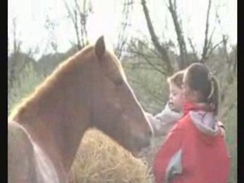 Calin à Fuégo