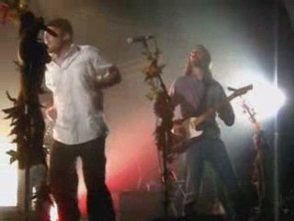 Bim-bam-boum - Bonobo circus