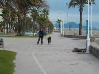 Mi chico haciendo un poco de ejercicio