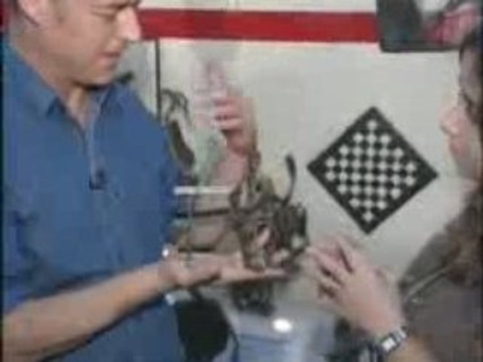 Interview with charles nassar