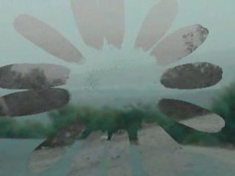 TUNISIE ghardimaou mezoued musique tunisie