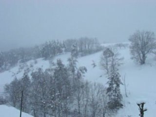 LE UN-CINQ TOUJOURS & ENCORE SOUS LA NEIGE POUR FLY