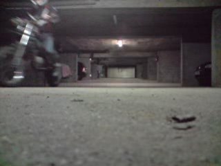 Sendalien qui cabre =D