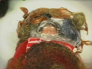 Human Hair Nativity Scene