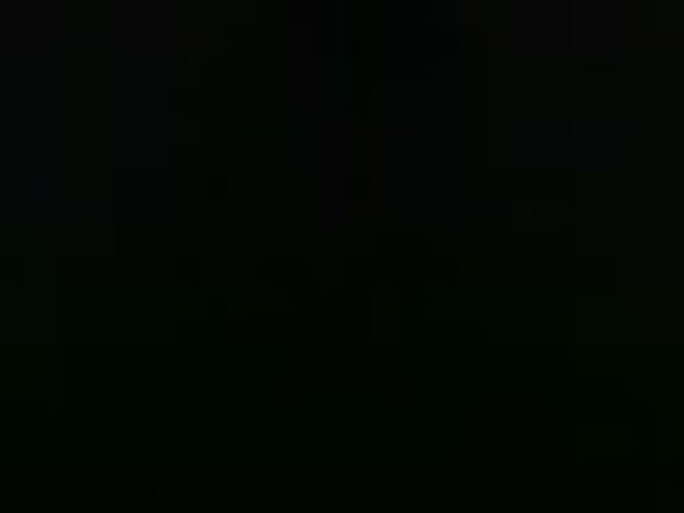 flammes 650 bandit pot maison by tom