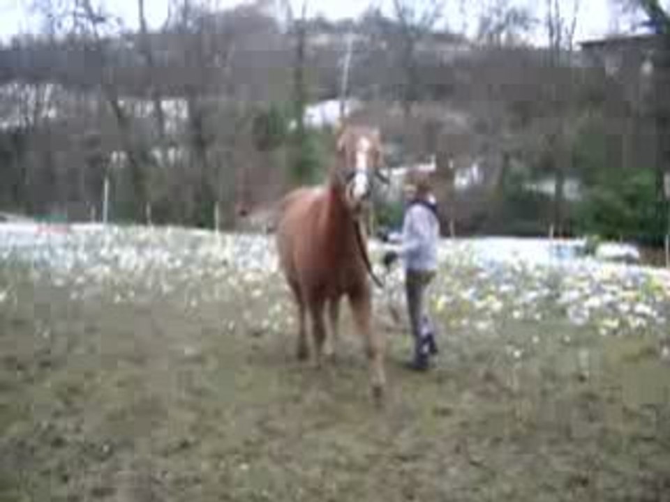 Val & Opaline