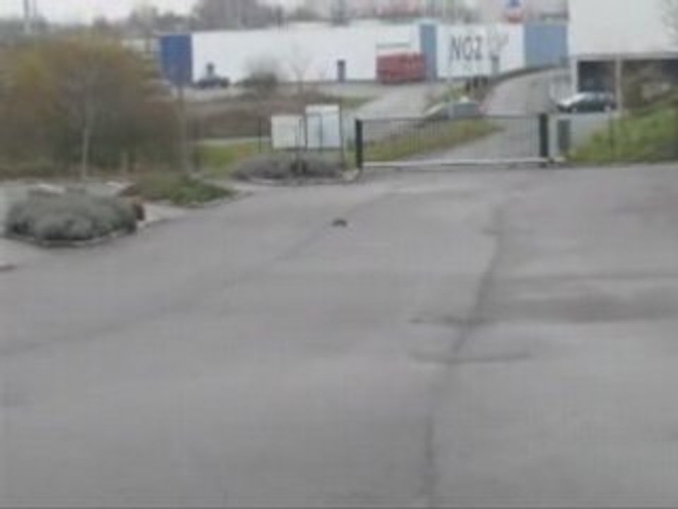 Rustler VXL 11.1V 8000mA/h Speed Hawg