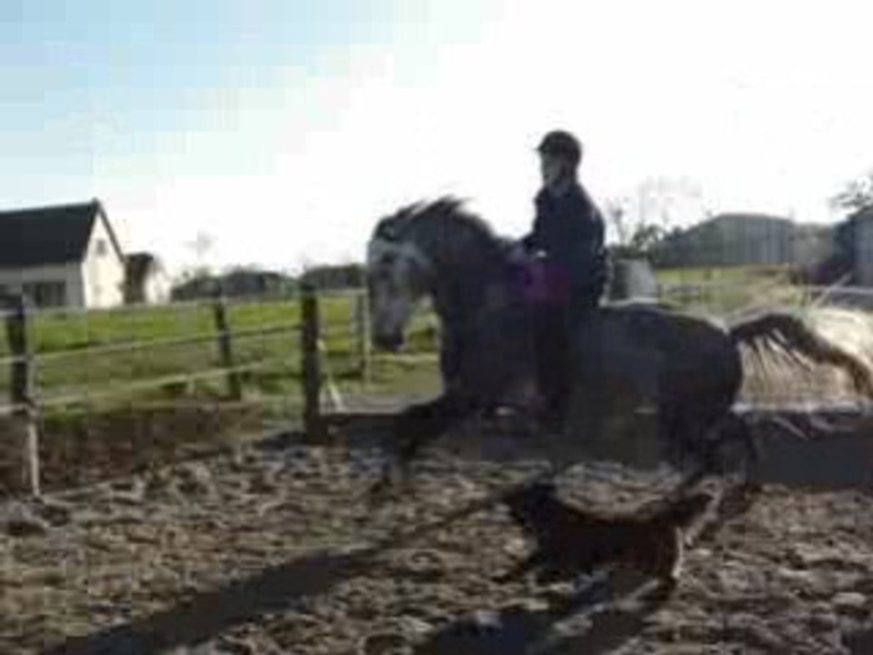 trot et galop en cordelette