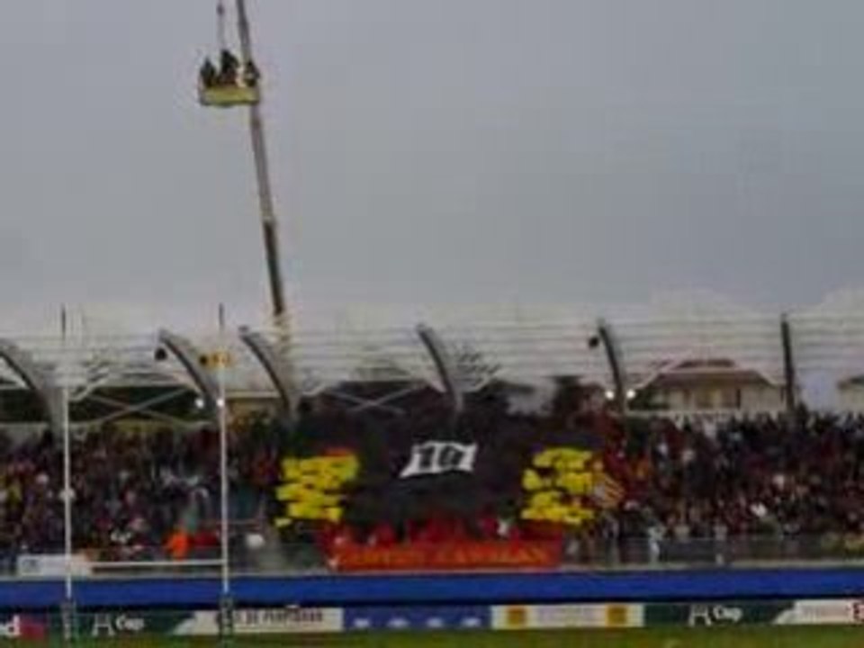tifo carter 2