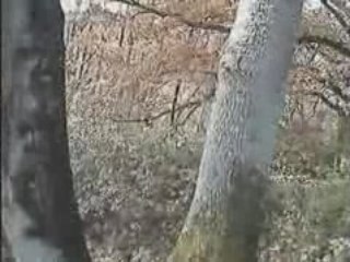 St Hubert 2008 part 2