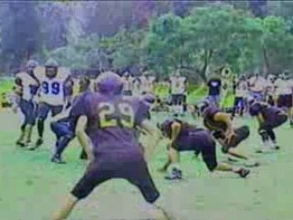 Video leones