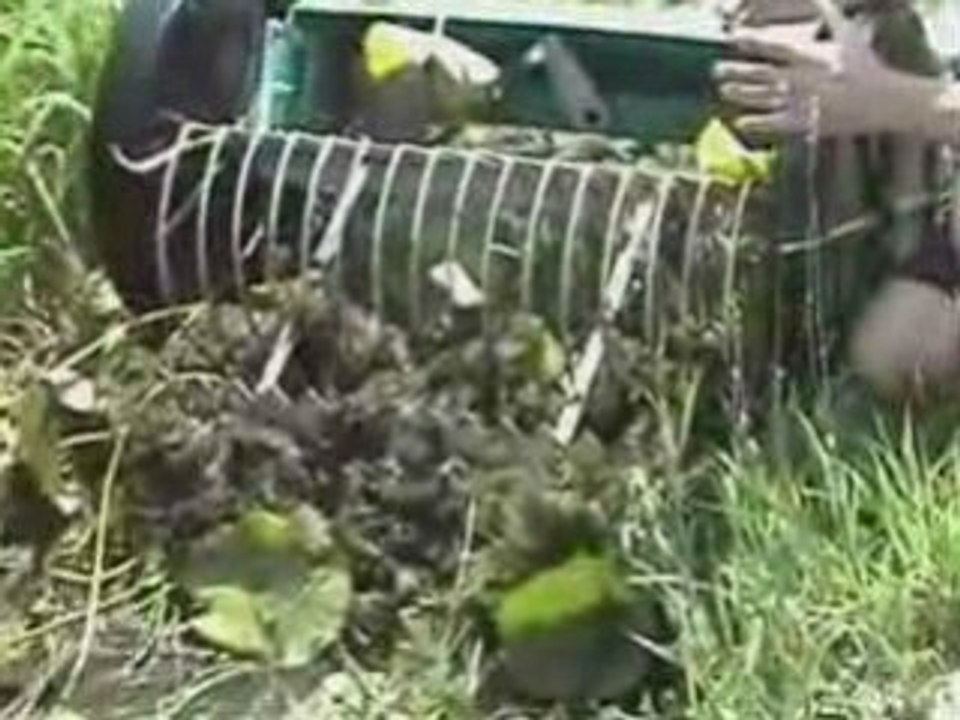 LAKE RAKE and POND RAKE for aquatic weeds or muck