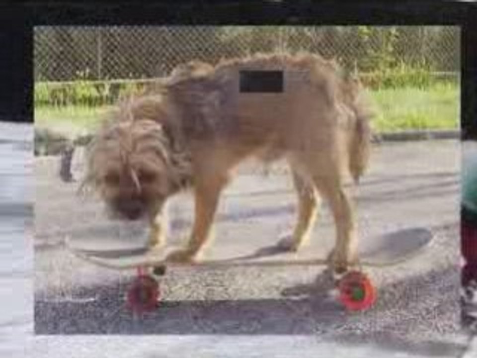 2-INTRO SNOVICE 2008 Chanson