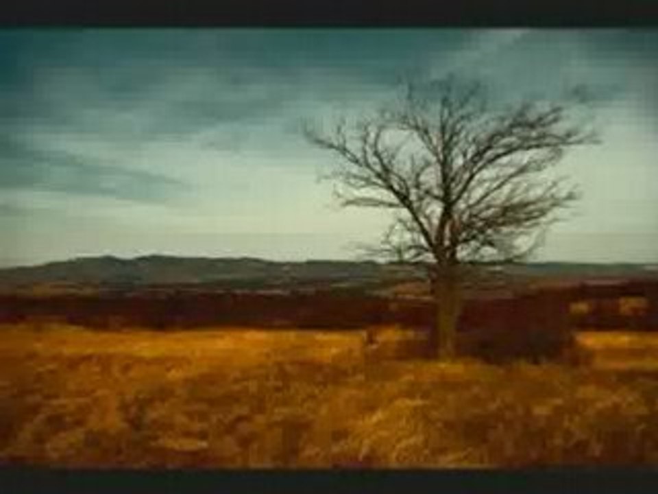 Yahel - Massive control