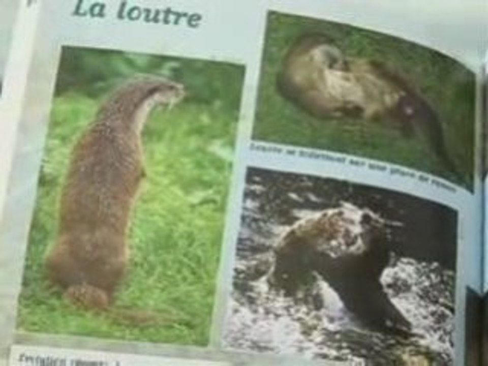 Amenagements_loutre_ARMOR tv - Le journal - 06-10-08