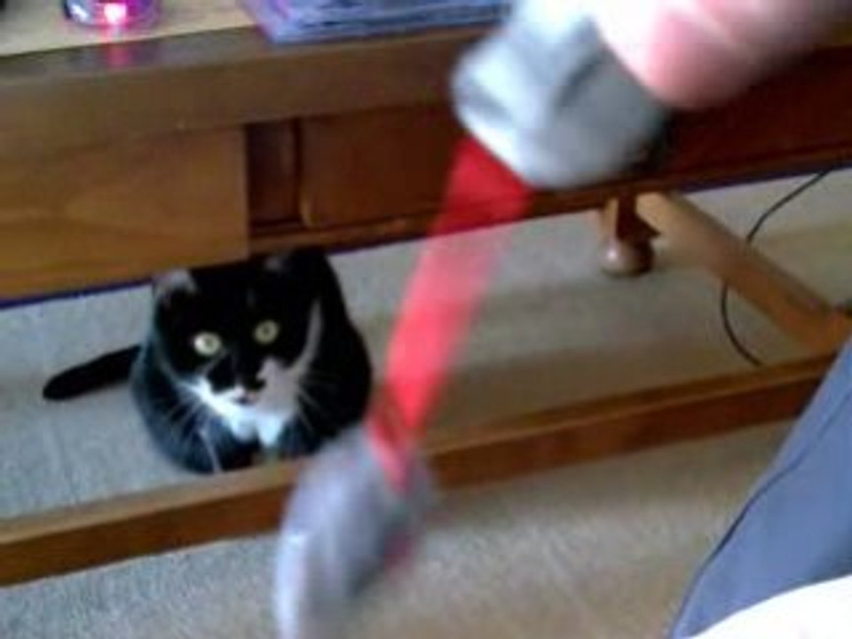 Mimi entrain de jouer