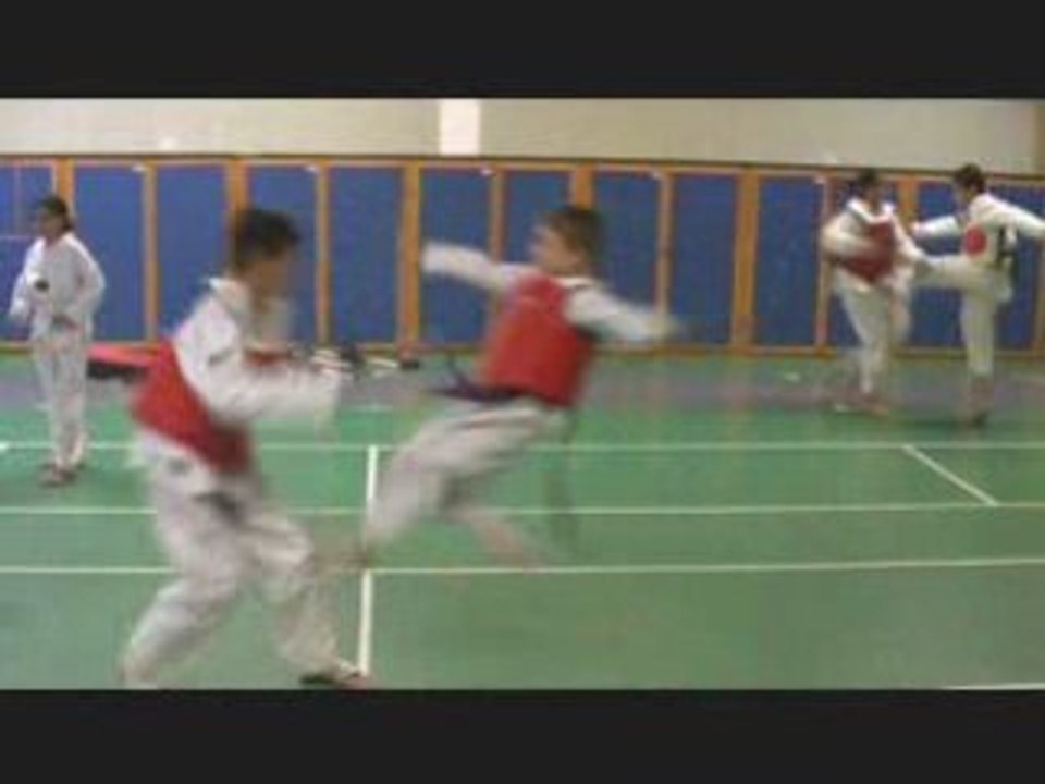 Section Taekwondo