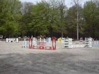 Joy : Petit grand prix 115cm