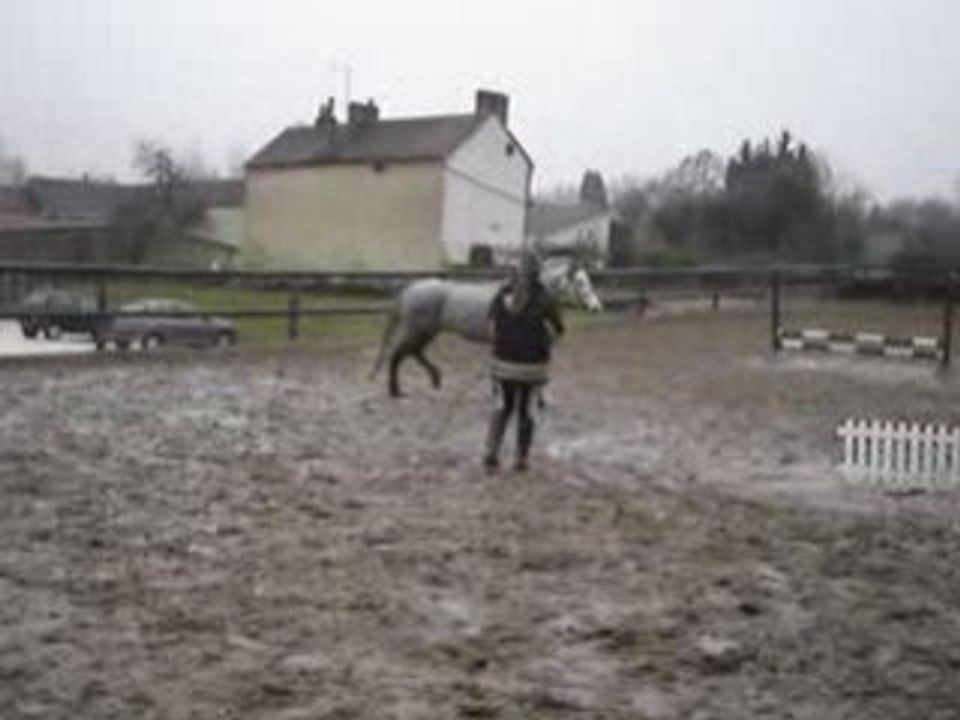 Pinou et la barrière