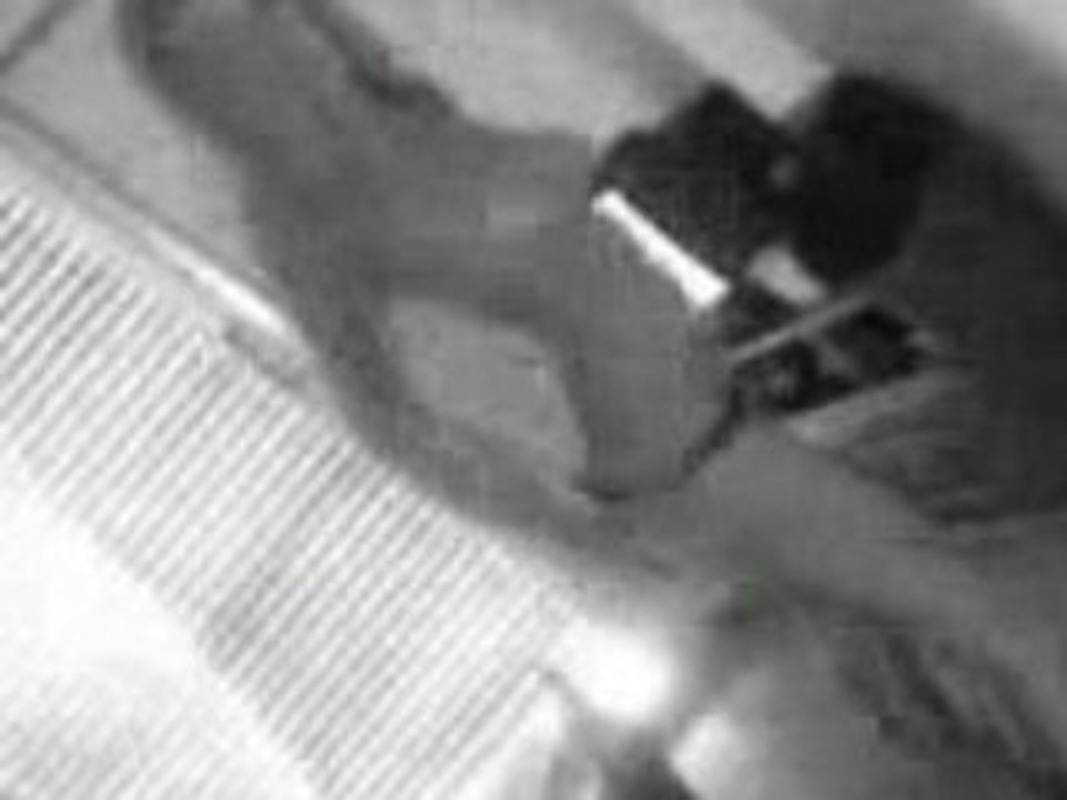 Tzoulia videara