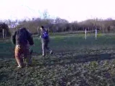 DIXIE des Côteaux du Lys