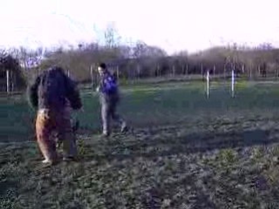 DIXIE des Côteaux du Lys