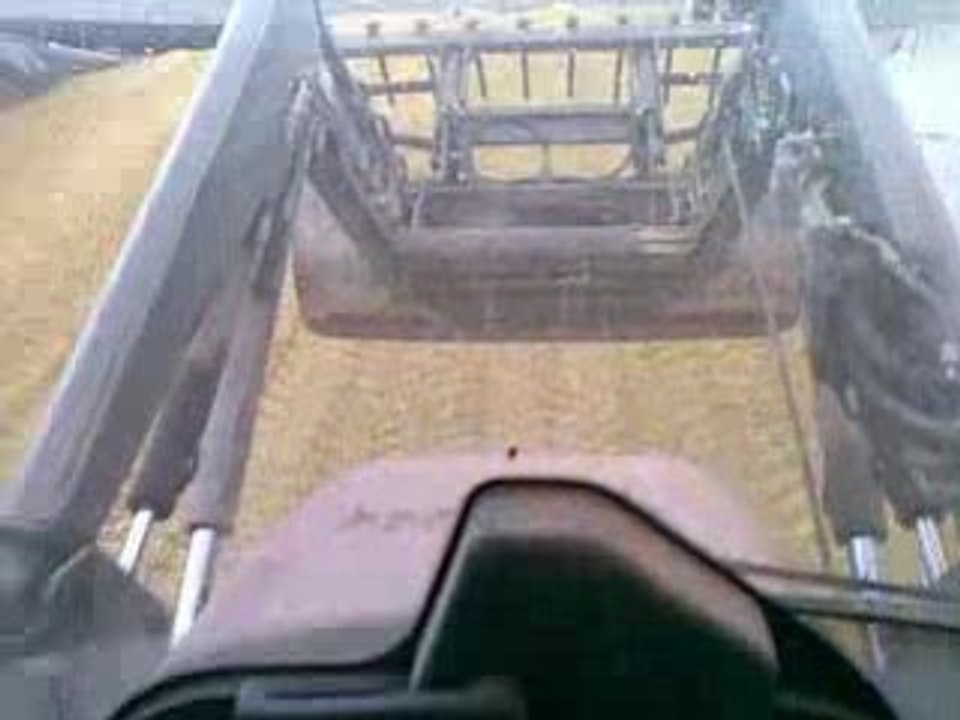 ensilage 2008