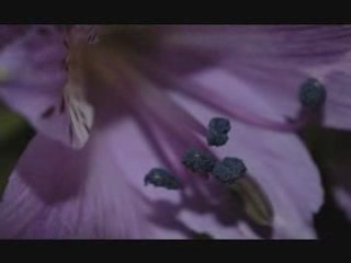 Iubirea by Vokientis