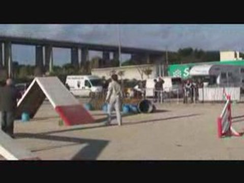 brooklyn 1er degres martigues 2008