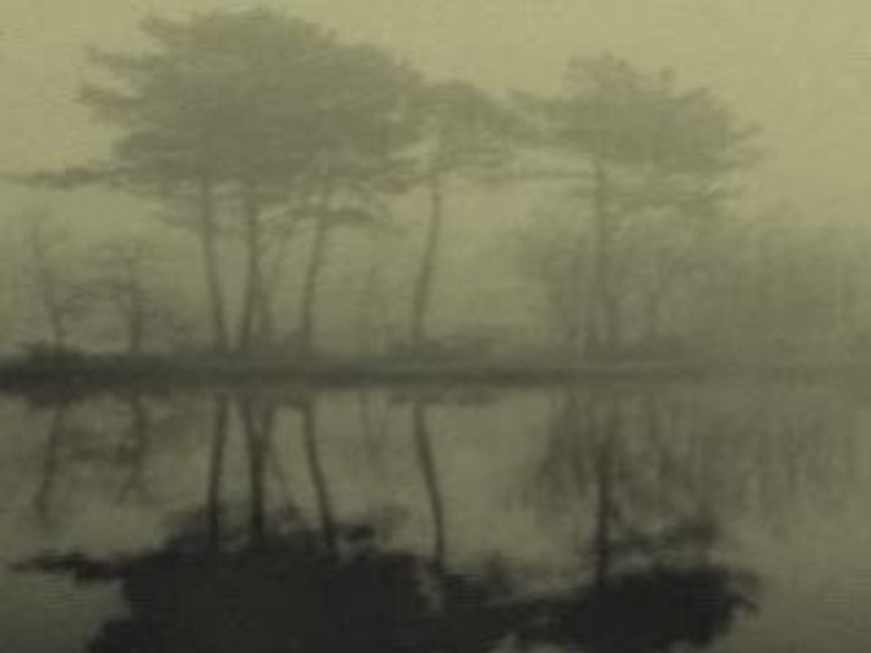Une nuit d'été