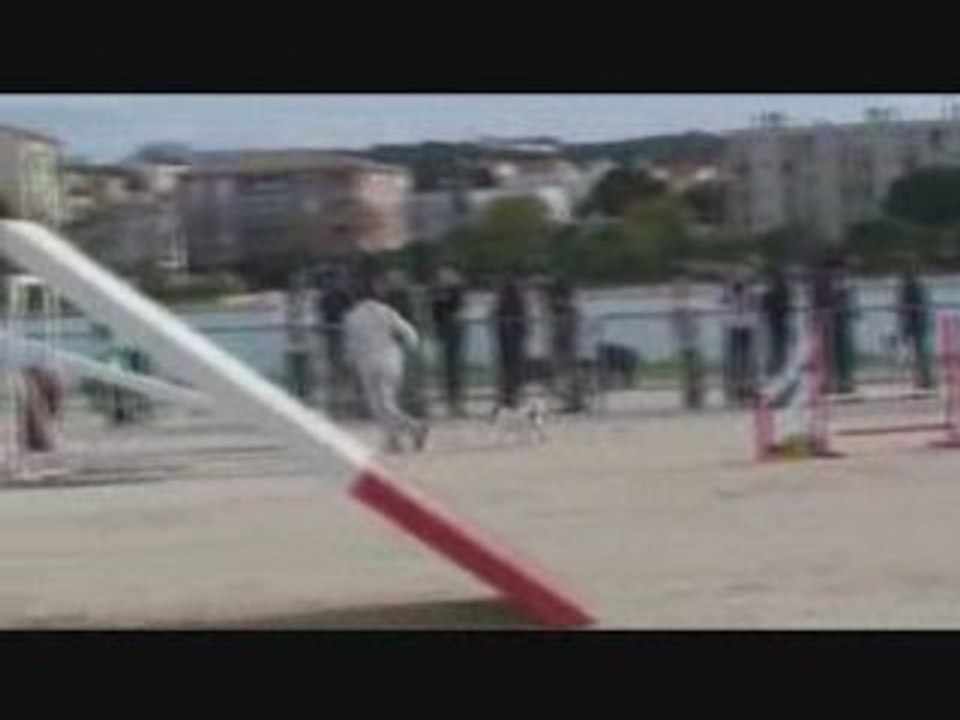 brooklin gpf martigues 2008