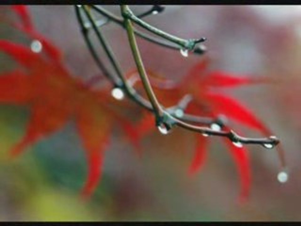 Melancolie by Vokientis