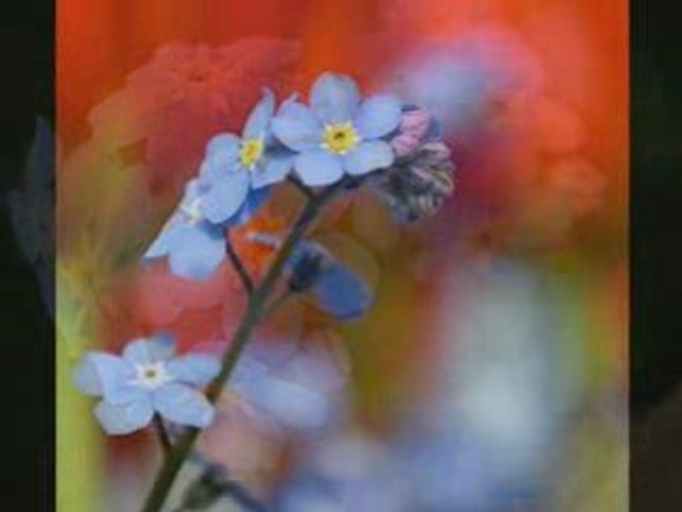 Nu ma uita[Do not forget me] by Vokientis