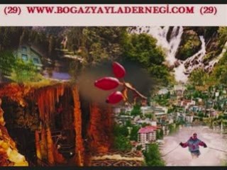 www.bogazyayladernegi.org BOGAZYAYLA YAVRUM