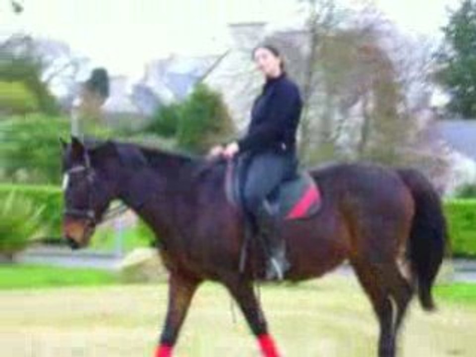 Sangle? pour quoi faire?