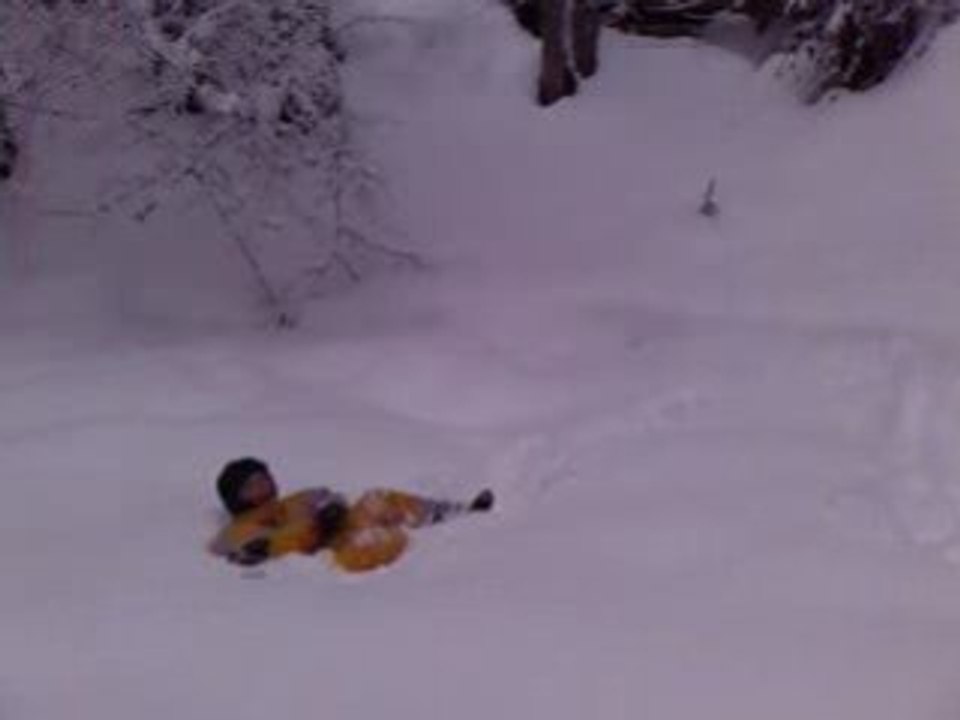 Brasse dans la neige