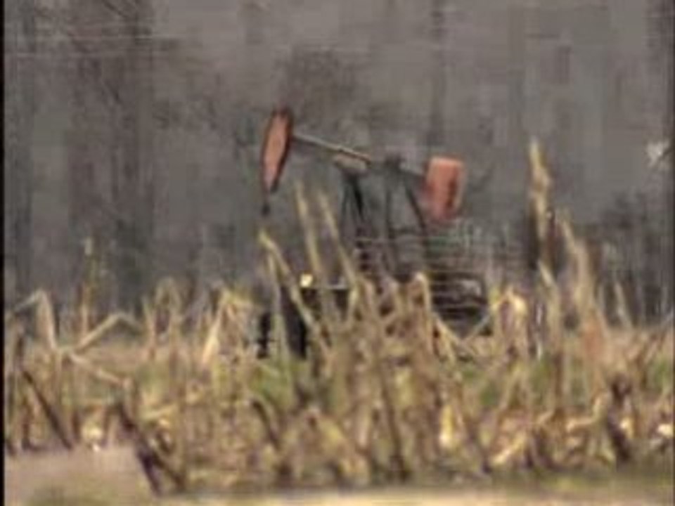 "Oil Safari" (Excerpt from 2006 documentary)