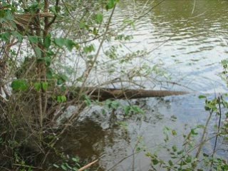 Robert Mergupis talks about personal branding!