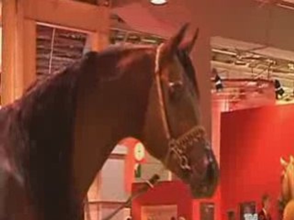 Championnat du Monde du Cheval arabe 2008 - Paris